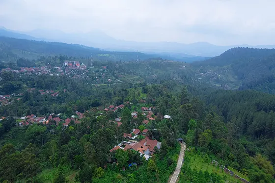 gambung hill